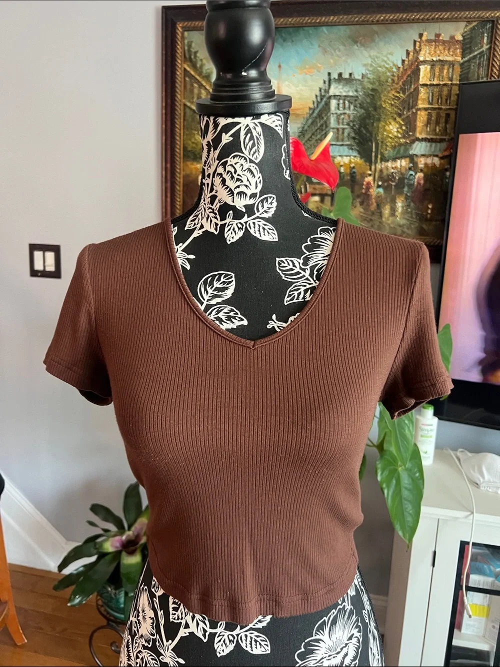 Brown Ribbed V-Neck Crop Top - Picture 1 of 4